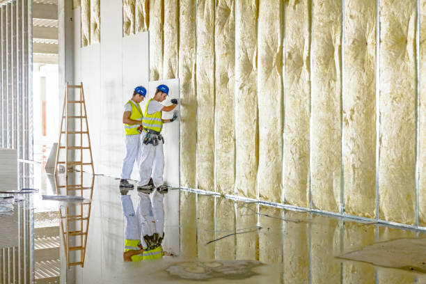 Best Insulation Maintenance and Repair in Jersey Village, TX
